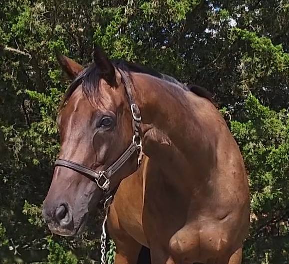 sc get groovy head looking right