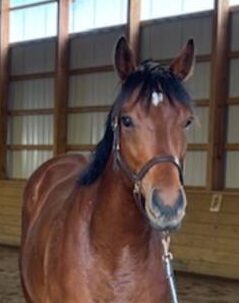 sc centz standing inside