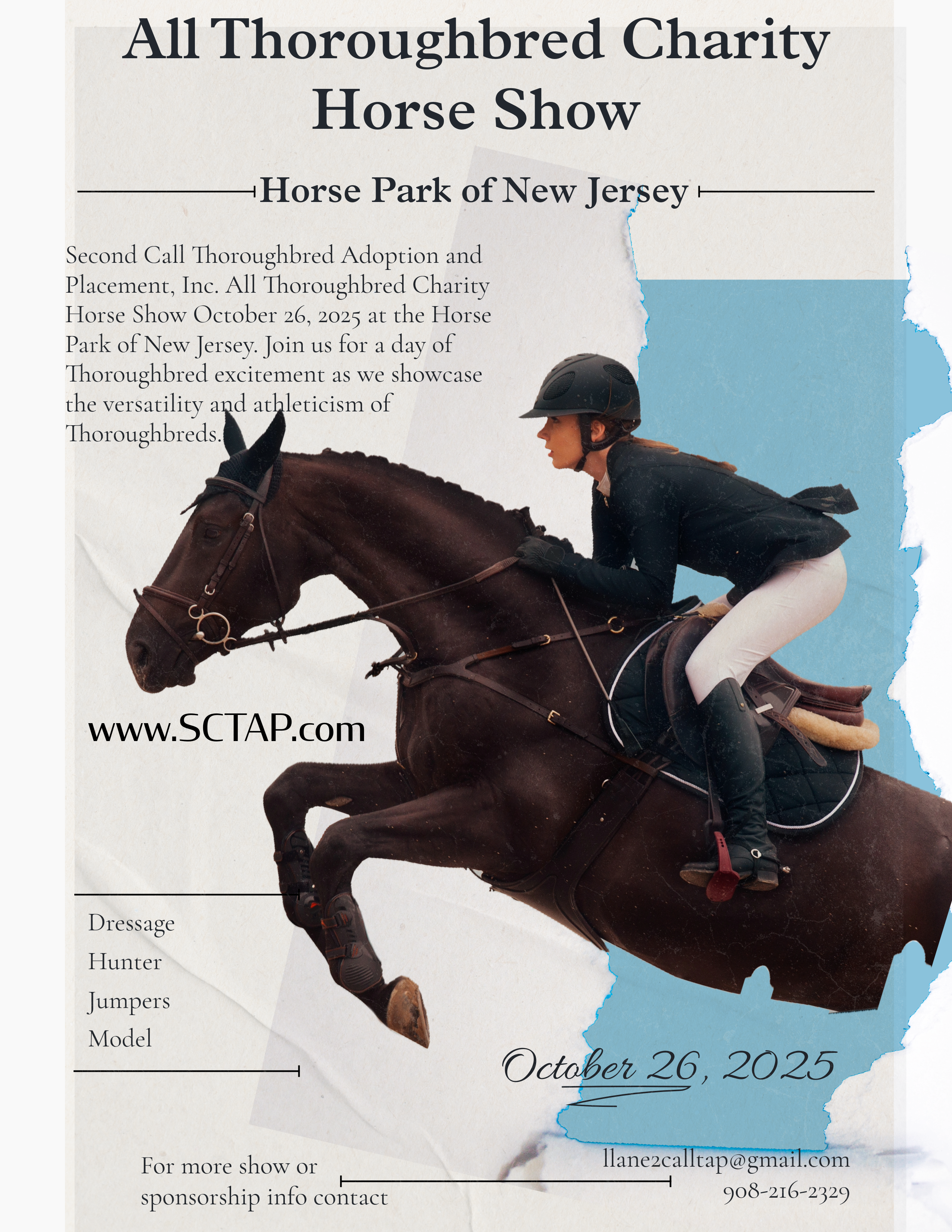 2025 all thoroughbred charity horse show add for horse park