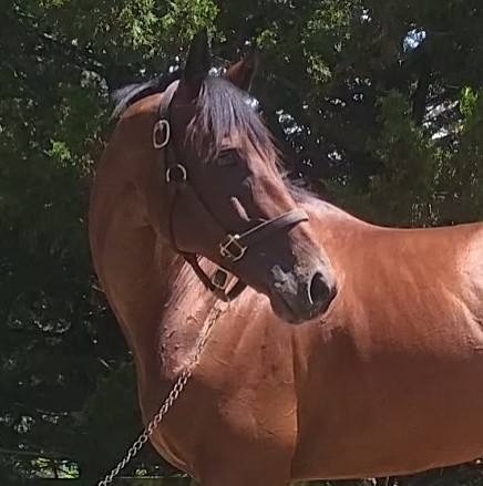 sc yono looking left and back