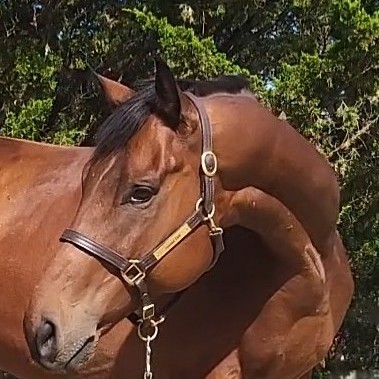 never there 1to1 web phot 2