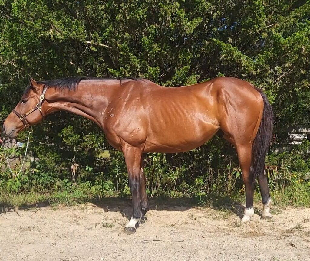 never there sept 2025