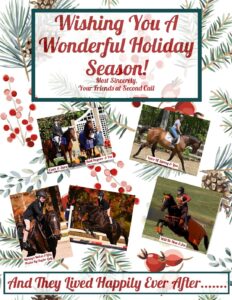 read about voice of spring in our year end letter!