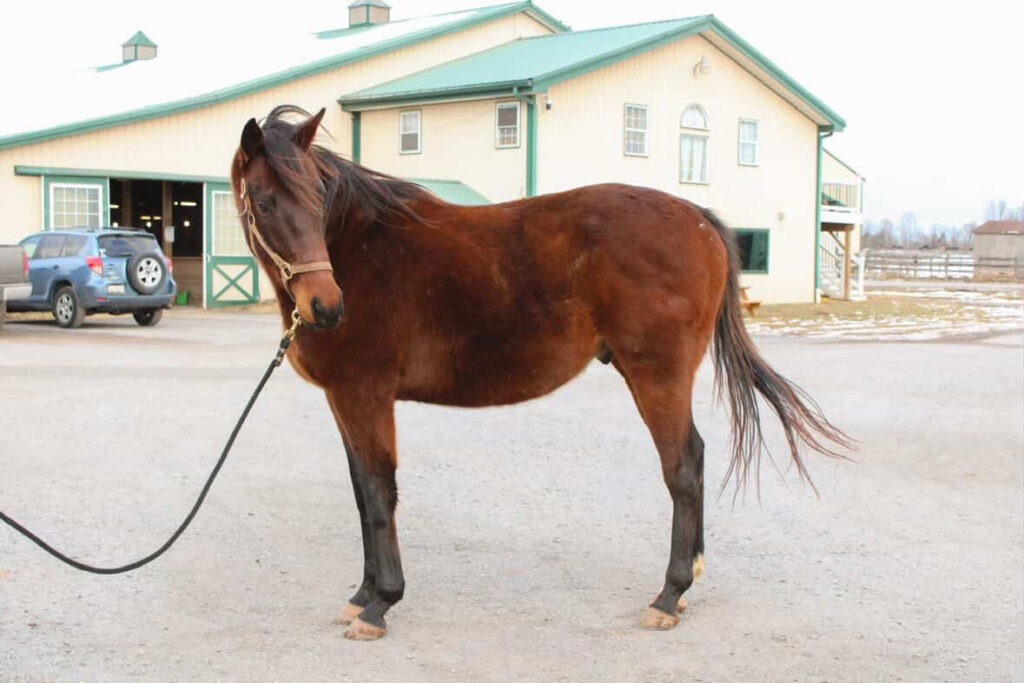 0db961ba 234f 4a69 a952 f3f5fc547597