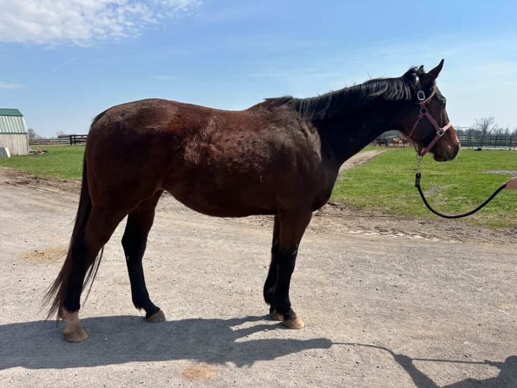 78f3a255 2590 4e40 b965 f2420ccd74c8