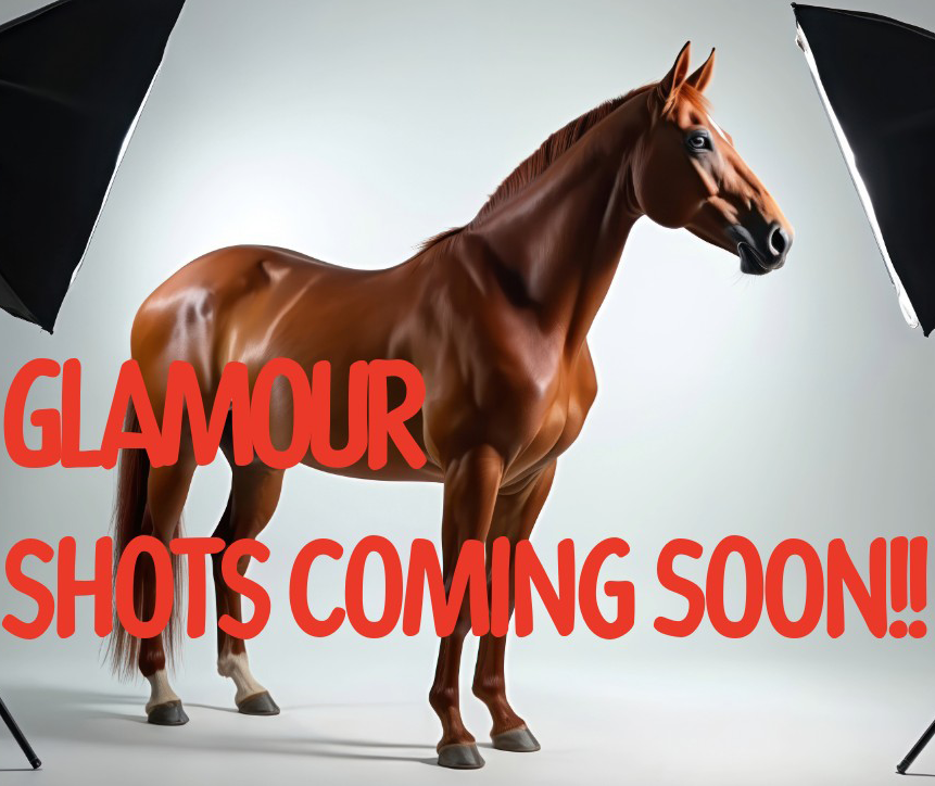 glamour shots
